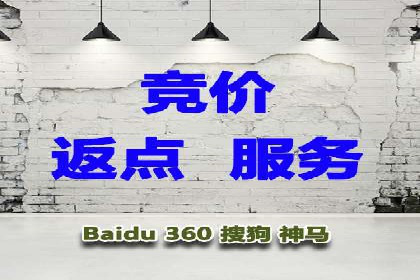 sem托管服务案例：如何实现广告投放精准化